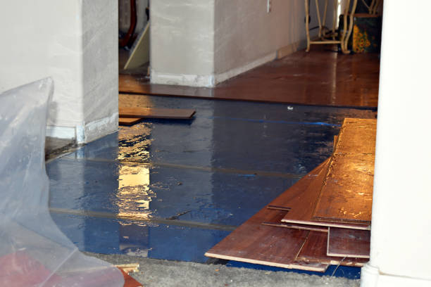 Professional Burst Pipe Cleanup technician working in Lakeville, MA